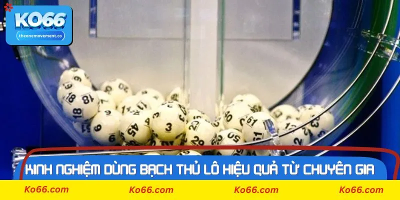 Bạch thủ lô